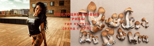 шишки Липки