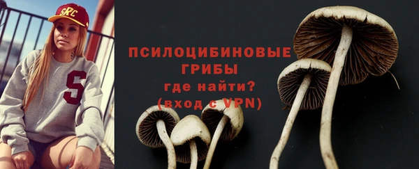 шишки Липки