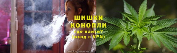 дмт Лиски