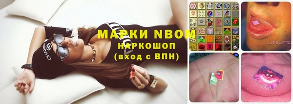 шишки Липки