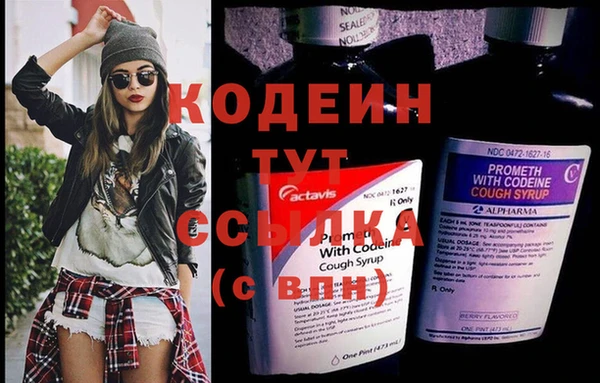дмт Лиски