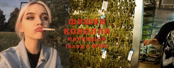 дмт Лиски