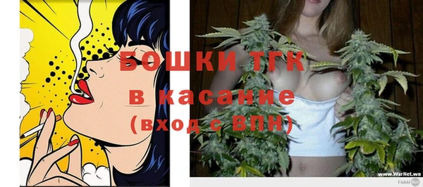 дмт Лиски