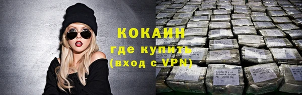 шишки Липки