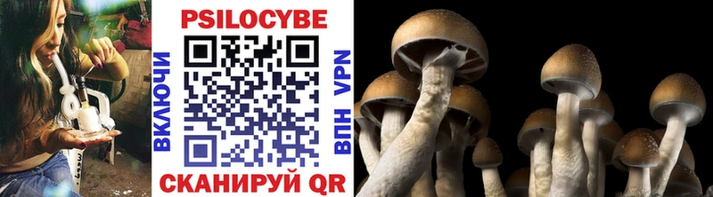 Псилоцибиновые грибы ЛСД  где купить наркоту  блэк спрут tor  Ханты-Мансийск 