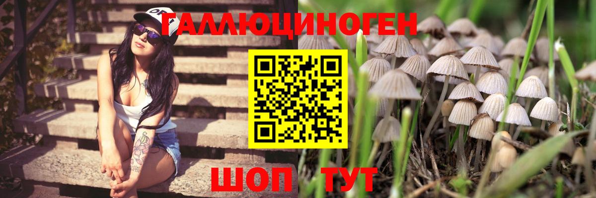 Ханты-Мансийск  Галлюциногенные грибы мицелий  Вход с VPN  Псилоцибиновые грибы Cubensis 